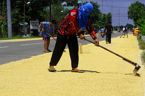 RISKY PALAY DRYING AT THE HIGHWAY