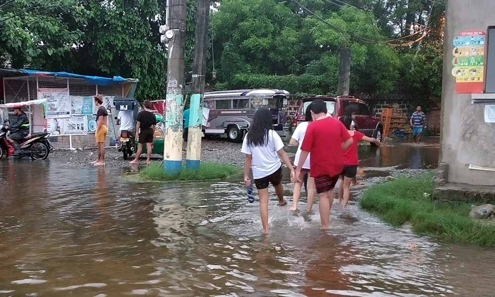 NO FEAR OF LEPTOSPIROSIS