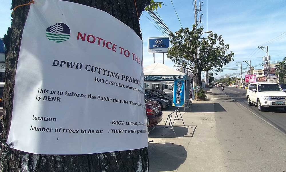 WHAT? GOODBYE TREES?