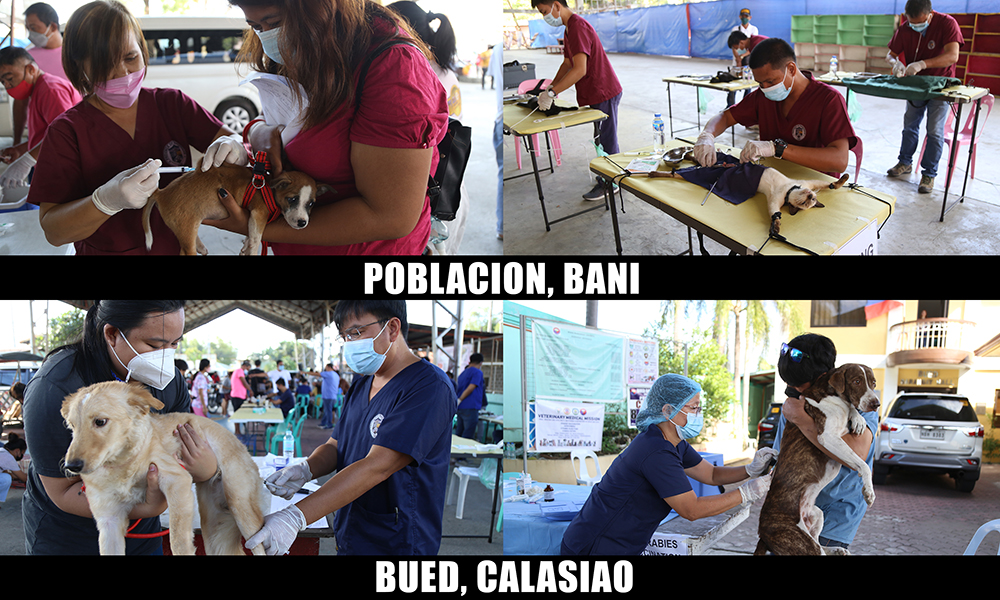 VETERINARY MEDICAL MISSION IN BANI AND CALASIAO