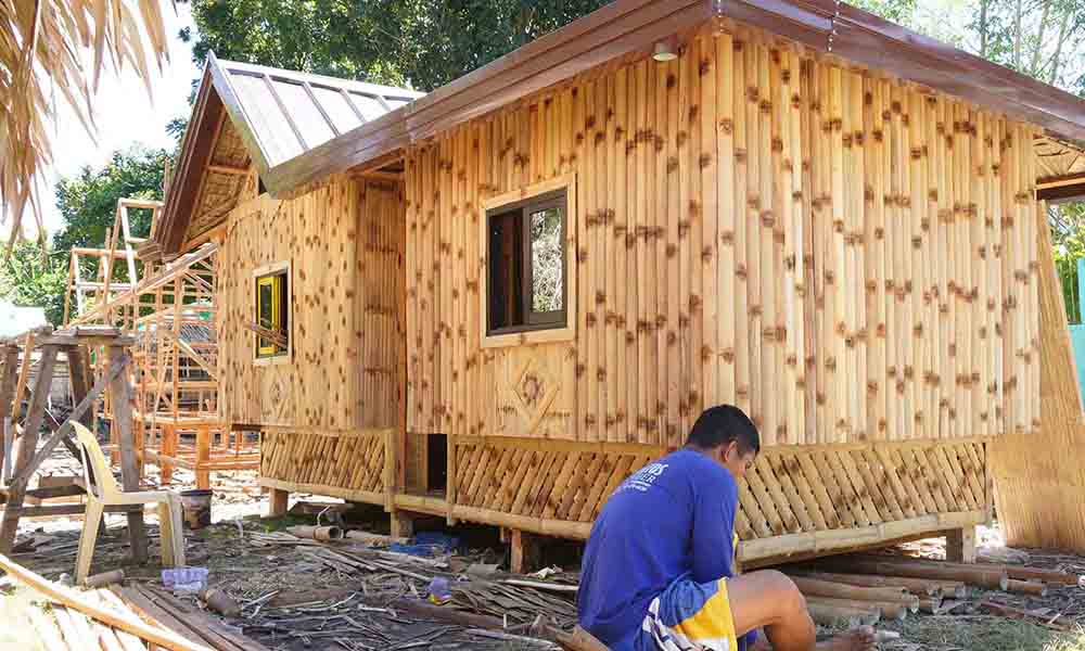 LIVING WITH BAMBOOS