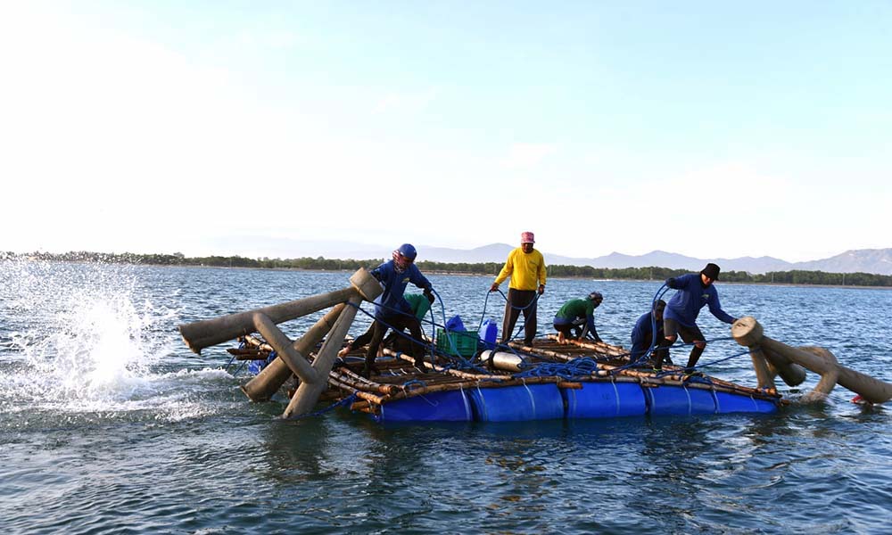 PROV’L GOV’T, LGU-LINGAYEN, BFAR RELEASE ARTIFICIAL REEFS IN LINGAYEN