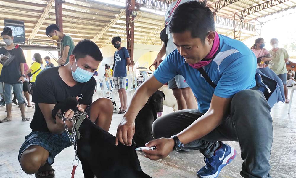 VETERINARY MEDICAL MISSION IN ALCALA