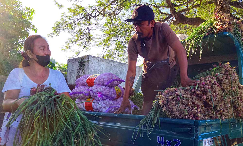 CHEAPER ONIONS SOLD ON HIGHWAYS