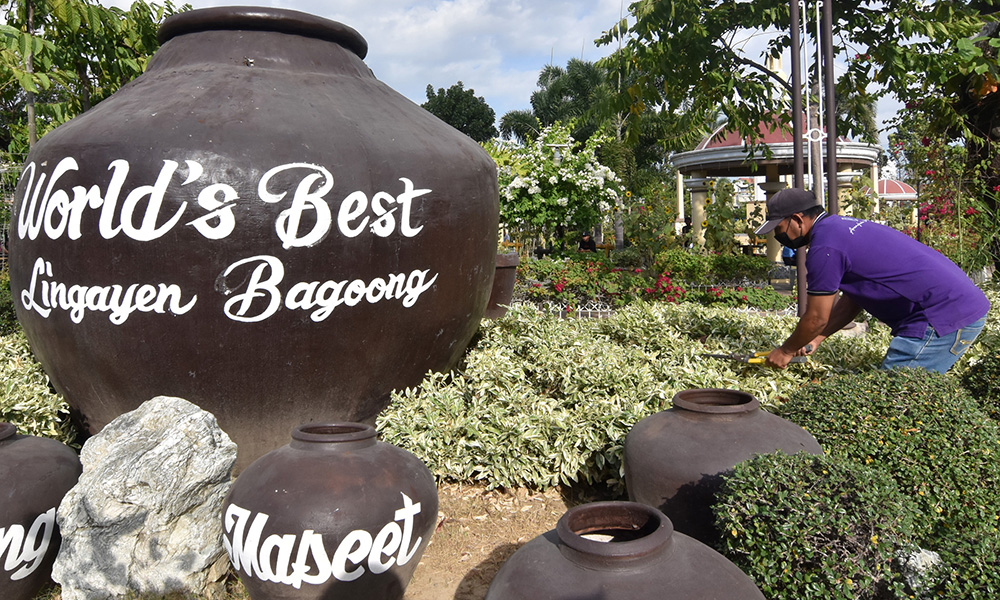 WATCH OUT FOR BAGOONG FESTIVAL